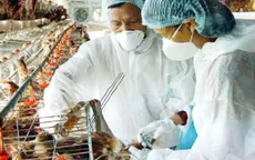 Hà Nội: Bổ sung gần 16 tỷ đồng phòng, chống dịch bệnh gia cầm