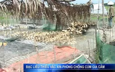 Bạc Liêu: Thiếu vaccine phòng chống cúm gia cầm