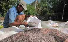 “Chặn đường” phân bón giả: Chờ quy định pháp lý mới