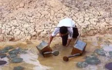 Kiến nghị Chính phủ hỗ trợ khẩn 368 tỷ để chống hạn