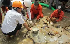 Tàu đắm ở Quảng Ngãi: Phát lộ những cổ vật đầu tiên