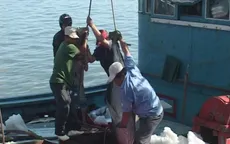 Khai thác cá ngừ: Nghịch lý giữa thu nhập và sản lượng