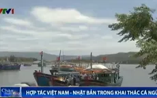Ngư dân Bình Định tập trung đón tàu cá Việt - Nhật cập bến