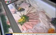 VIDEO: Thuỷ sản Việt Nam lép vế tại thị trường Mỹ     