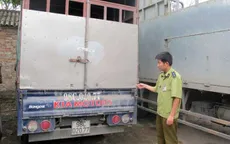 Tịch thu ô tô vận chuyển gia cầm lậu   