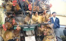 Nghiêm cấm vận chuyển gia cầm qua biên giới phía Bắc