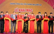 Phó Chủ tịch nước Nguyễn Thị Doan dự các hoạt động Giỗ tổ