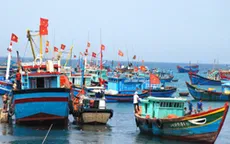 Ưu đãi bảo hiểm tàu cá - Những phản hồi tích cực
