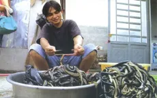 Một lần thử đi chợ rắn