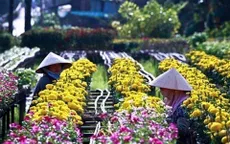 Các kiểu du lịch... "né" Tết