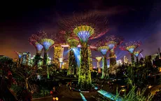 TransViet Travel khuyến mại tour Tết