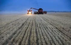 Bộ trưởng Nông nghiệp Nga: Moscow lập kỷ lục về lượng ngũ cốc xuất khẩu