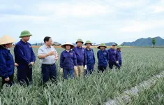 Thủ tướng thăm mô hình kinh tế nông nghiệp, công trình trọng điểm tại Ninh Bình