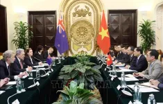 Phát triển tích cực, hiệu quả quan hệ Đối tác chiến lược Việt Nam - New Zealand