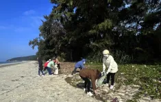 Huyện đảo Cô Tô nỗ lực xử lý rác thải