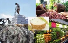 Nắm bắt FTA để hướng đến xuất khẩu tinh nông sản