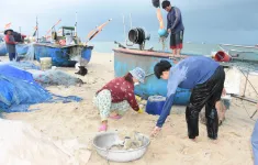 Ngư dân “đưa rác vào bờ”, bảo vệ môi trường biển sau chuyến ra khơi