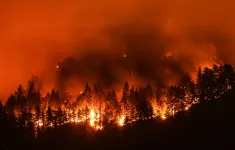 Cao điểm cháy rừng đang đến gần, Canada dự báo mùa hè nóng hơn thông thường
