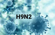 Bé trai 4 tuổi ở Ấn Độ nhiễm virus cúm gia cầm H9N2