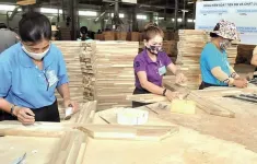 Mục tiêu xuất khẩu 17,5 tỷ USD của ngành gỗ “trong tầm tay”