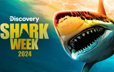 Hung thần đại dương trở lại cùng Shark Week 2024