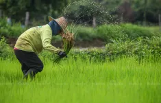 Thái Lan hỗ trợ giá phân bón cho nông dân