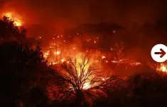 Cháy rừng nghiêm trọng ở California thiêu rụi hàng nghìn hecta đất, 1.200 người buộc phải sơ tán