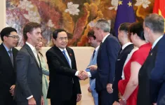 Thúc đẩy phê chuẩn Hiệp định Bảo hộ Đầu tư Việt Nam - EU