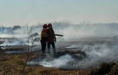 Brazil ban bố tình trạng khẩn cấp do cháy rừng ngoài tầm kiểm soát