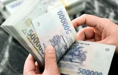 Tổng Giám đốc rủ Việt kiều góp tiền đầu tư, chiếm đoạt hơn 20 tỷ đồng