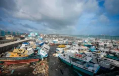 Siêu bão Beryl gây nhiệt hại nặng nề, ít nhất 6 người thiệt mạng