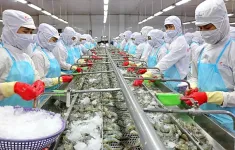 Thủy sản Việt Nam hút khách tại các thị trường lân cận