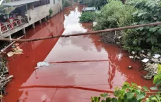 Cà Mau: Nước kênh có màu đỏ do người dân... rửa thùng sơn