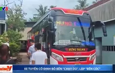 Bát nháo hoạt động vận tải hành khách tại Bình Định