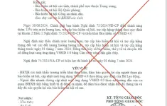 Giả mạo văn bản của Bảo hiểm xã hội Việt Nam về cập nhật VssID 4.0
