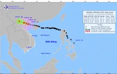 Bão số 3 trên đất liền Quảng Ninh-Hải Phòng, giật cấp 15
