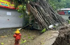 'Các sở giáo dục tuyệt đối không chủ quan với hoàn lưu sau bão Yagi'