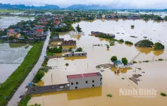 Ninh Bình phát lệnh di dân vùng phân lũ, chậm lũ huyện Gia Viễn và Nho Quan