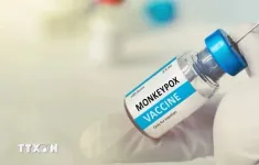 Vaccine ngừa bệnh đậu mùa khỉ đầu tiên được WHO sơ duyệt