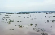 Nông dân Hưng Yên chịu nhiều thiệt hại sau lũ