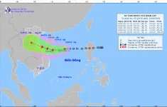 Áp thấp nhiệt đới có khả năng mạnh lên thành bão giật cấp 10