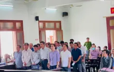 Phú Yên: Vi phạm đất đai, cựu chủ tịch huyện và nhiều cán bộ bị tuyên án