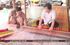 Làng nghề dệt chiếu ở Trà Vinh