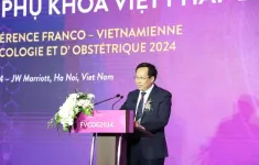 Hội nghị Sản phụ khoa Việt Pháp 2024: Vấn đề chất lượng xét nghiệm được quan tâm