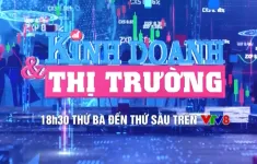 Chương trình Kinh doanh & Thị trường trên VTV8