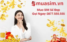 Bỏ túi ngay kinh nghiệm mua sim số đẹp online uy tín