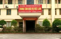 Bắt Giám đốc Trung tâm dịch vụ việc làm tại Hưng Yên