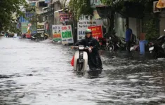 Triều cường làm đảo lộn cuộc sống người dân TP Hồ Chí Minh