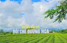 Quảng Ninh: Sẵn sàng tổ chức lễ hội Trà đường hoa ở huyện Hải Hà