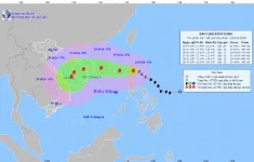 Trưa chiều nay, bão Trami sẽ đi vào Biển Đông, sóng biển cao 3-5 mét